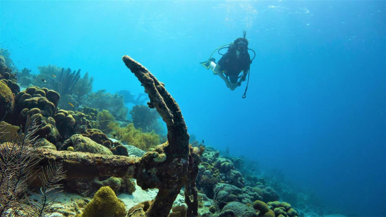 Woodz Bonaire Apartment Kralendijk  Bagian luar foto